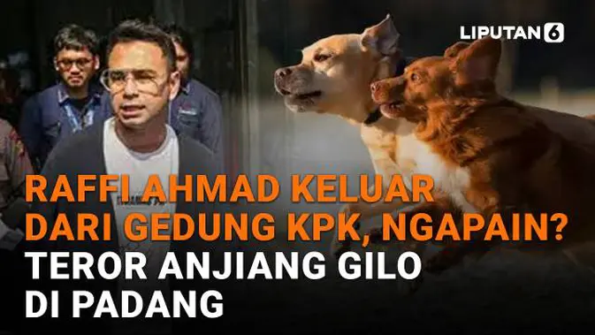 Raffi Ahmad Keluar Gedung KPK, Apa yang Dia Lakukan?  Teror Anjiang Gilo di Padang